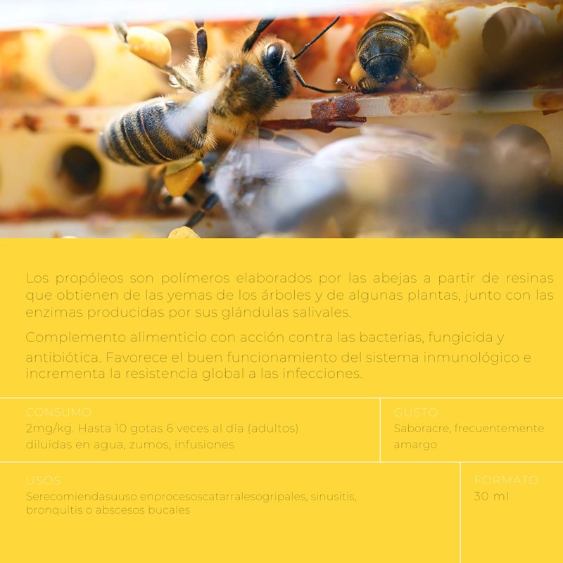 Eria de Valles – Propolis-Extrakt aus Asturien, 30 ml, traditionelle