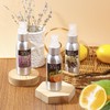 Fragrant Room Spray, Lavender, Vanilla, Citrus, 3 x 3.4 fl