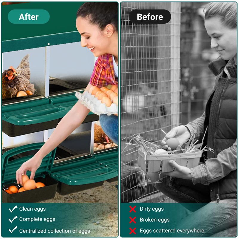 Chicken Nesting Box With 8 Compartments - Roll Away Laying