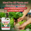 Hormex Rooting Hormone Concentrate with B1 – Root Growth Stimulator