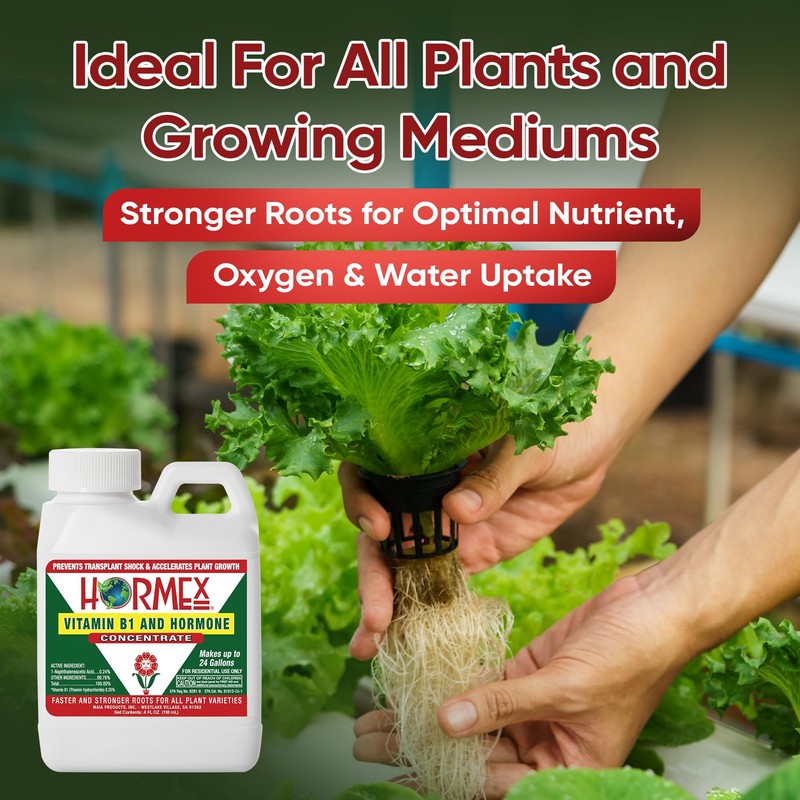 Hormex Rooting Hormone Concentrate with B1 – Root Growth Stimulator
