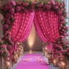 10x10ft Rose Red Backdrop Curtains with Lights String for Wedding