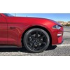 Ford M1447M50AB 2015-2020 Mustang GT 5.0 Fender Emblems Black