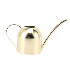 Watering Can Stainless Steel Sprinkling Pot Large Capacity Long Spout for Indoor Outdoor House Planting Gardening Gold
