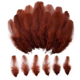 Brown Craft Rooster Feathers 900pcs 3-5inch Colored Bulk Feathers Natural Feathers for Crafting Kindergarten DIY Crafts,Home Wedding Party Decoration,Dream Catcher Supplies