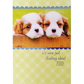 Greeting Card We Were Just Thinking About You - Get Well Soon with Cavalier King Charles Spaniel Dogs