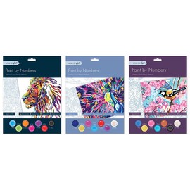 Tallon Adult Paint by Numbers - Assorted Designs X1 Random Set
