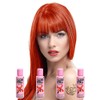 Semi-Permanent Hair Colour Cream Dye Crazy Colour Renbow 4 x