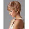 Gabor Pixie Perfect Short Slight Layered Lightweight Wig by Hairuwear,