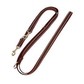 Double Dog Lead Webbing Reflective 25 mm 5.00 m Brown 5-Way Adjustable for Large and Large Dogs