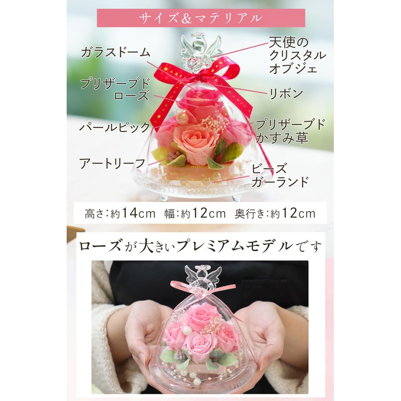 IPFA Preserved Flower Glass Dome Angel Premium (Pink/Thank You Model),