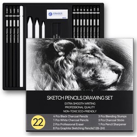 Drawing Sketching Pencil Set, 22 count Pro Art Pencil Kit - Graphite Pencils (12B-2H), Black and White Charcoal Pencils, Charcoal Sticks, Stumps, Eraser, Sharpeners - Colour: 22