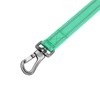 EXCELLENT ELITE SPANKER Double Layer Reflective Nylon Dog Leash Padded