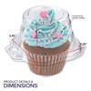 Stock Your Home Individual Plastic Cupcake Containers Disposable with Connected
