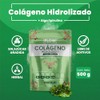 Colgeno Hidrolizado con Espirulina - 500g en Polvo - Colgeno