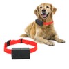 Plastic High Technology Outdoor Battery Pet Electric Shock Bark Stopper
