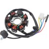 Trkimal Ignition Coil AC 8-Pin 5 Wires Stator Magneto 4-Stroke