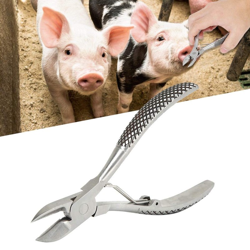 Joyzan Piglet Teeth Cutter Stainless Steel Pig Tooth Nipper Piglets