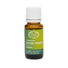 RATHAUS APOTHEKE WIEN Concentrated Bud Extract - Gemmotherapy - Syringa