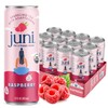 Juni Sparkling Adaptogen Drink with Ashwagandha, Lion’s Mane & Reishi