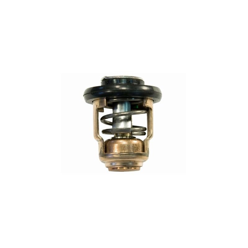 Sierra International 18-3540 Small Thermostat for Yamaha