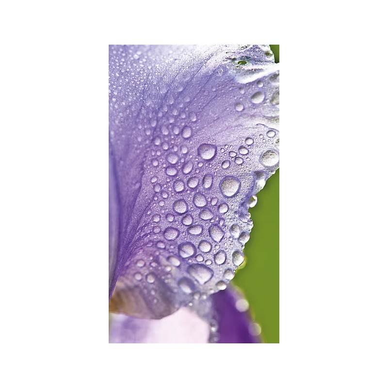 Weleda Hydrating Day Cream Iris 30ml