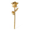Fantasy Rose 24K Gold Dipped Rose, Unique & Everlasting Real