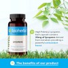 BIOHERBA LYCOPENE 20 mg 200 Capsules - High-Strength Antioxidant Supplement