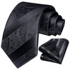 HISDERN Black Ties for Men Paisley Floral Men's Necktie &