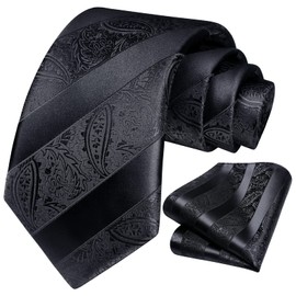 HISDERN Black Ties for Men Paisley Floral Men's Necktie & Pocket Square Set Classic Flower Wedding Tuxedo Business Party Tie with Handkerchief