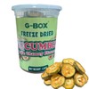 G-BOX Freeze Dried Cucumbers, Freeze Dried Veggies, Healthy Snack, Veggie