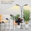 GLOWRIUM Grow Light with Stand,2-Head LED Plant Light for Indoor