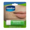 Balsamo Labios Vaselina Lip Therapy Aloe Vera Vaseline