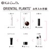 Koh Gen Do Gangwon-do Oriental Plants, Facial Wash, 2.8 oz