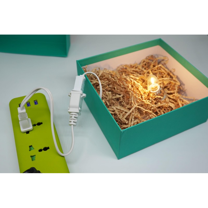 Short Extension Cord 1 Ft, White 2 Prong, 18 AWG