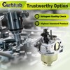 HUAYI 951-14423 Carburetor for Cub Cadet SC100 SC300HW SC500 Lawn