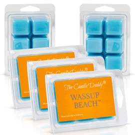 Wassup Beach- Funny Ocean Sea Maximum Scented Wax Cubes/Melts- 5 Packs -10 Ounces Total- 30 Cubes