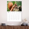 Squirrels - Tiny Explorers (Monthly Wall Calendar 2026 16.5" x