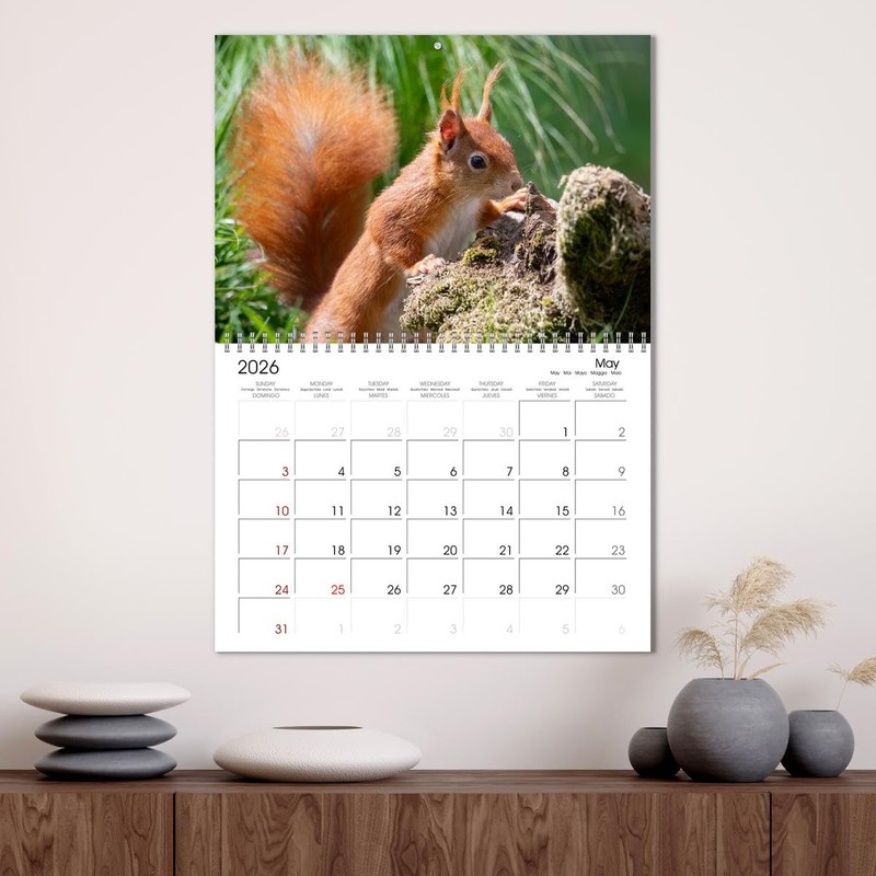 Squirrels - Tiny Explorers (Monthly Wall Calendar 2026 16.5" x