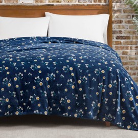 Lucky Brand Daisy Navy Blue Floral 66"X90" Cozy Plush Blanket - Premium Microfiber Throw for Luxurious Comfort and Style Twin/Twin XL Size