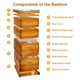 Honey Lake 8 Frame Bee Hive Dipped in 100% Beeswax, Langstroth Complete Beehives Starter Kit Includes 2 Deep Brood Box and 2 Medium Super Box with Beehive Frames and Waxed Foundation Sheet