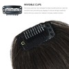 Rose bud Bangs Hair Clip in Fringe Bangs with Temples