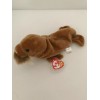 Ty ORIGINAL BEANIE BABY - "PAUL THE WALRUS" - MWMT/s