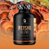 Hongo Reishi 100 Cáps Antioxidante Antiinflamatorio. B Life Sabor Sin