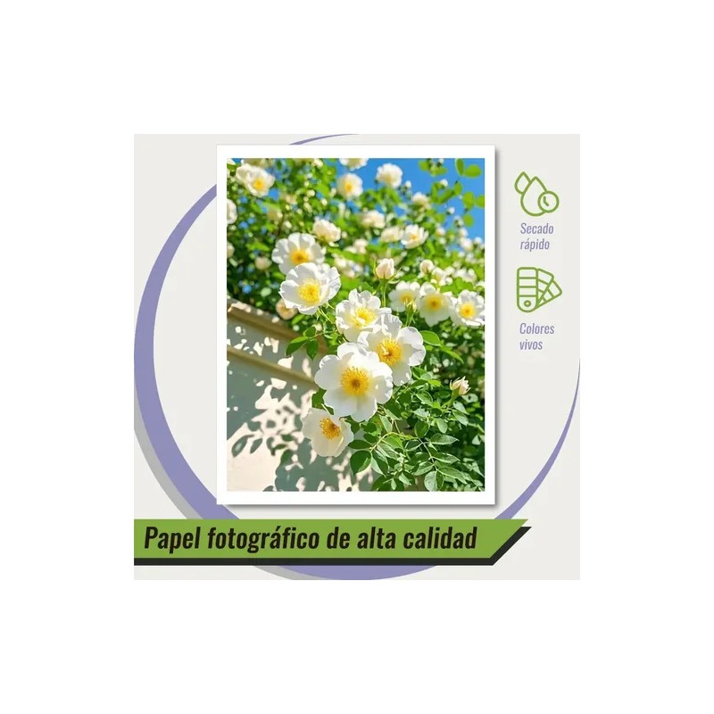 Papel Fotográfico A4 Kamo Glossy Doble Cara 200gr 60 Hojas