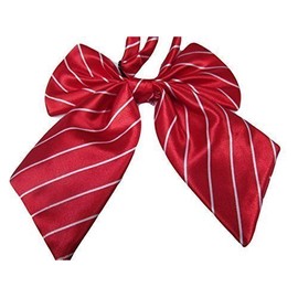 Fat-catz-copy-catz Ladies girls fashion satin bow neck tie cravat 15+ colours party fancy dress: leopard, spotted, stripes (Ladies Red/White Stripe Tie)