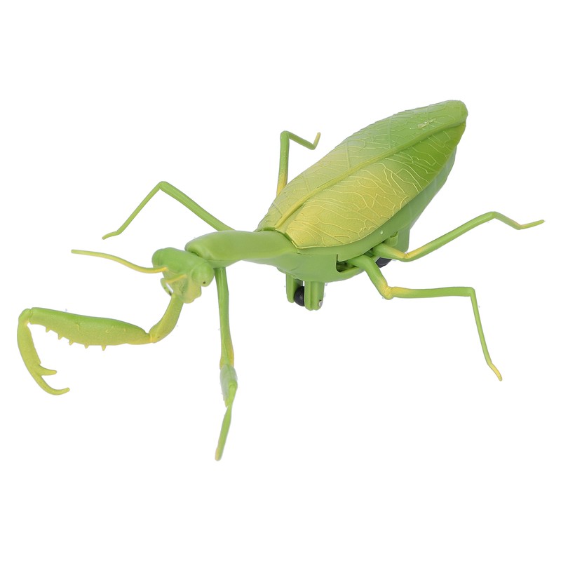 Remote Control Insects RC Animals Children Adults Trick Toys Electric