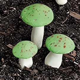 G & F Products 10025GR Garden Miniature, 0.5-1.25" High, Green