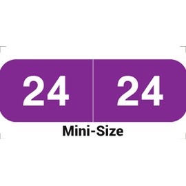 2024 MINI Year Labels, Doctor Stuff 2024 Chart Stickers, Purple Color Coded, Ames Small Style, USA Made Year Stickers for End Tab File Folders, 500/Roll, 1 Roll, 1/2" x 1-1/2"