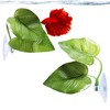 SunGrow Betta Fish Leaf Hammock, Twin Leaf Design with Suction